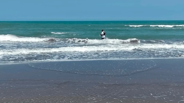 Cofepris reporta 14 playas contaminadas
