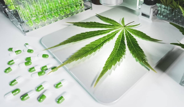 Proponen que la cannabis figure en cuadro de medicamentos