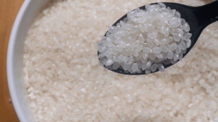 Cultivan por primera vez arroz de cosecha rápida en zonas desérticas