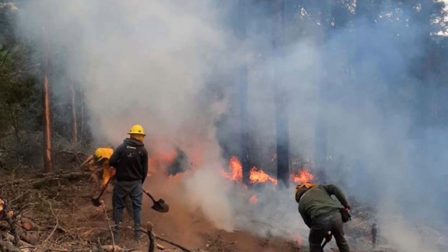 Fallecen 3 brigadistas en incendio forestal en el Estado de México