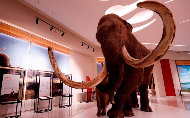 Museo del Mamut en Santa Lucia: joya paleontológica