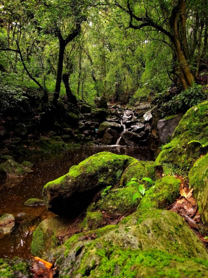 Biodiversidad como recurso turístico en Morelos