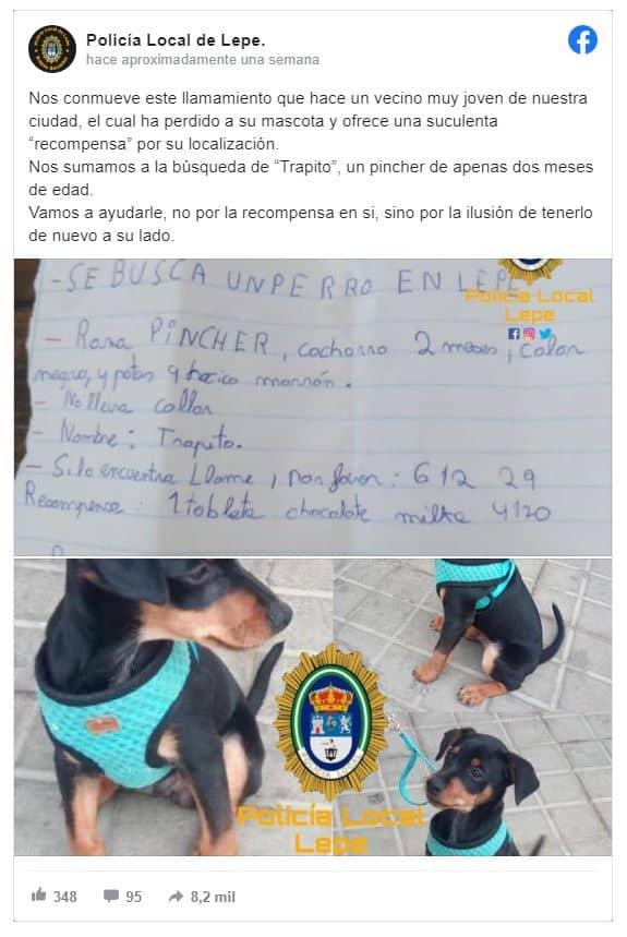 Niño pide ayuda de la policía para encontrar a su perrito perdido.