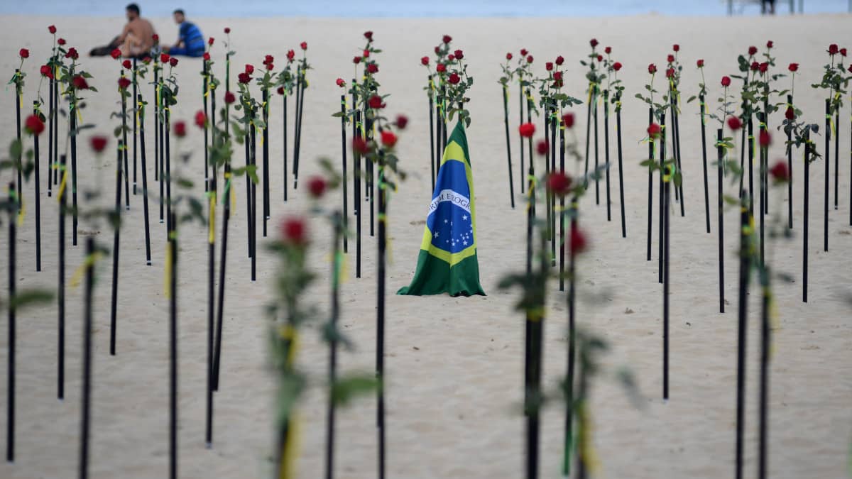 Rosas rojas en Copacapana.