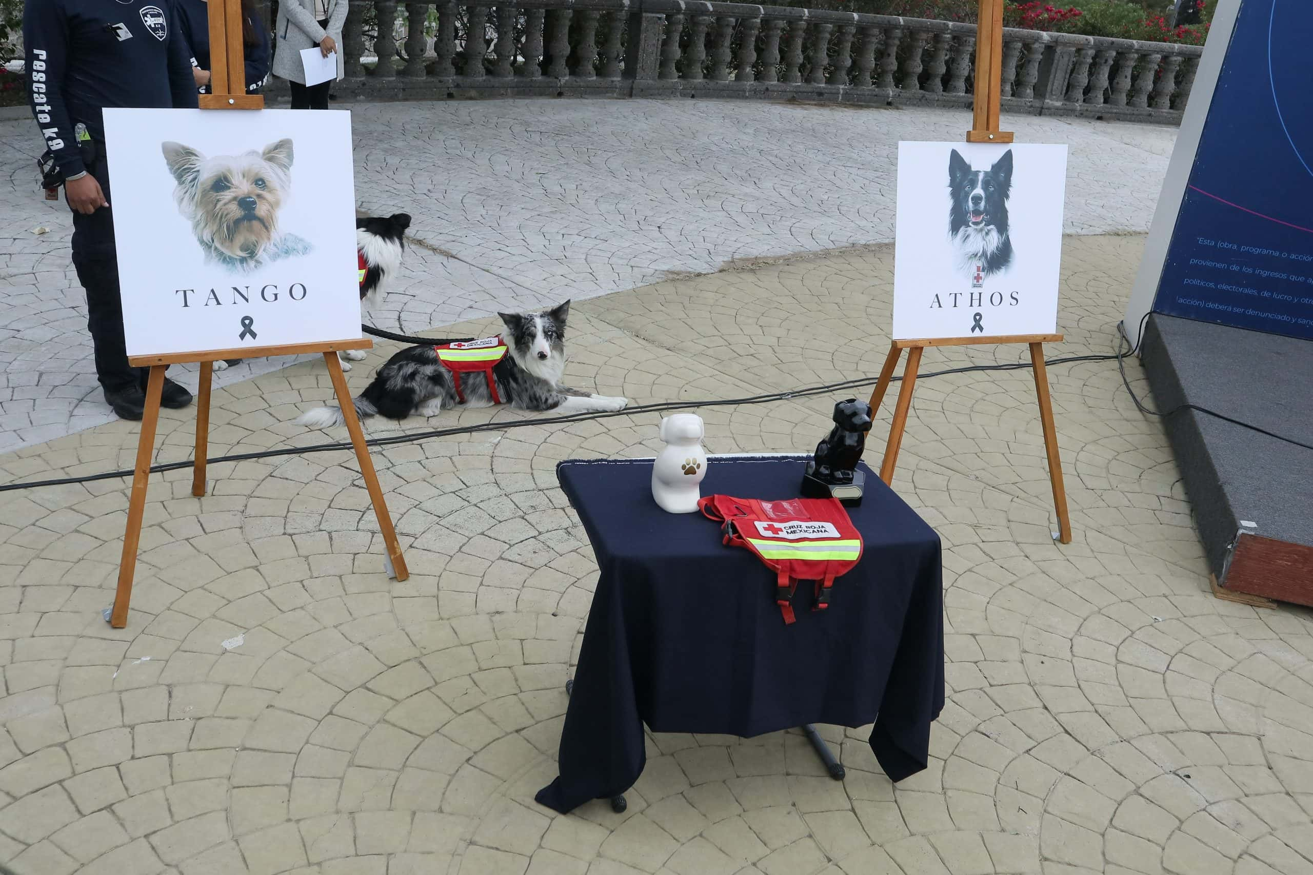 Las cenizas de ambos lomitos estuvieron presentes durante el homenaje.