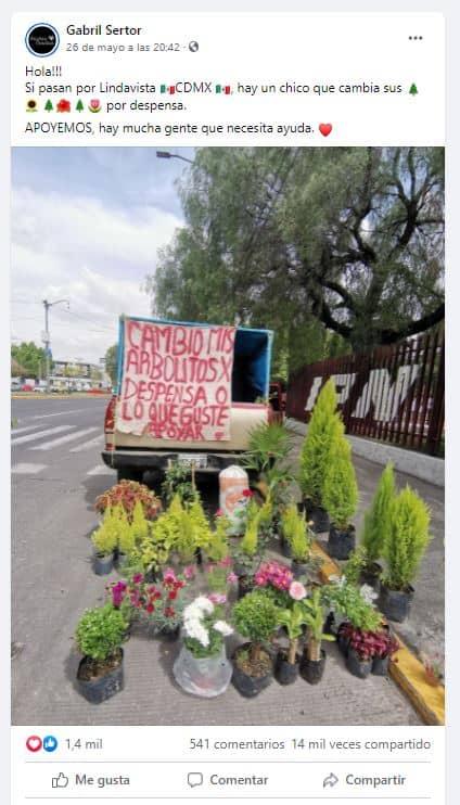 Joven vende o intercambia arboles y plantas por comida en la CDMX.