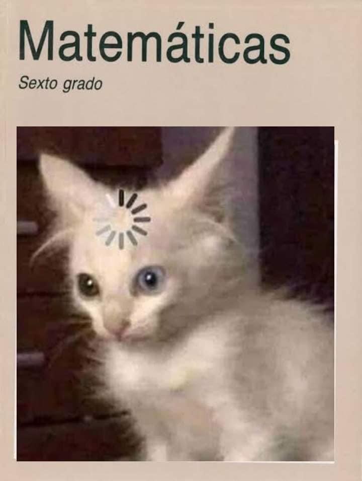 Matemáticas - Gato cargando