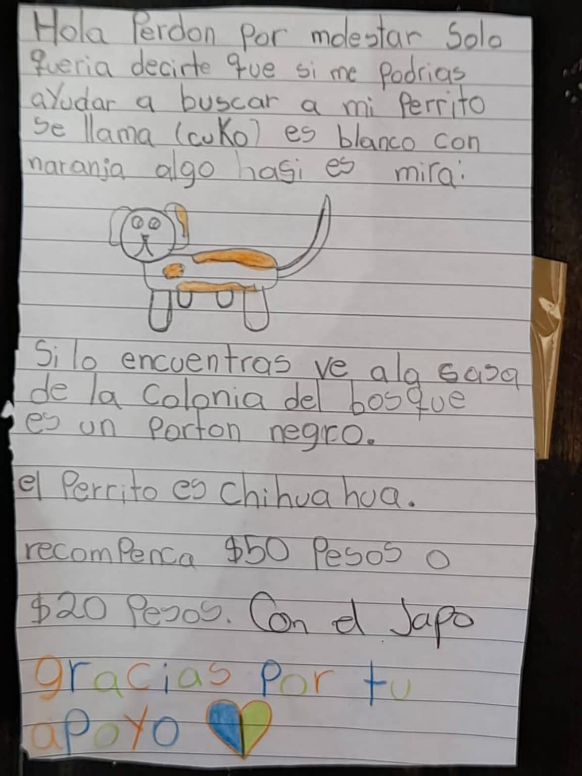 Niña busca a su perrito con un dibujo.