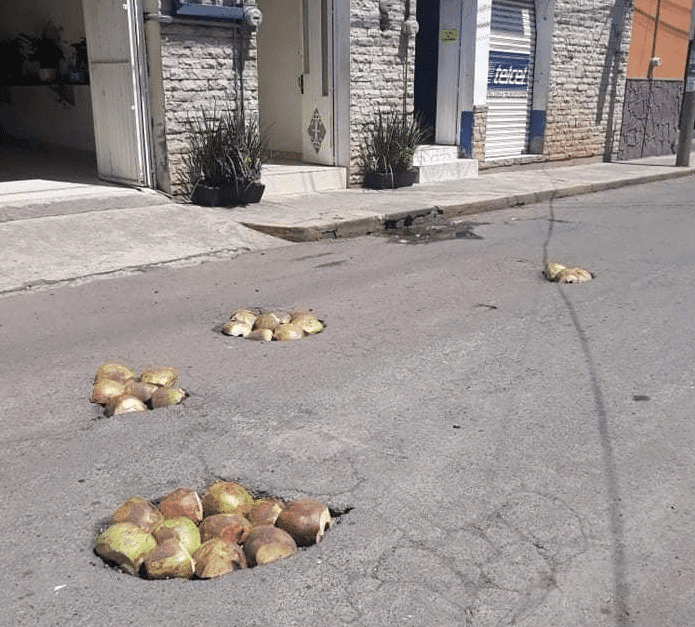 En calles de Nayarit taparon los baches con cocos.