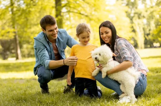 Cómo influye la alimentación de mascotas en su huella ambiental – La Unión de Morelos