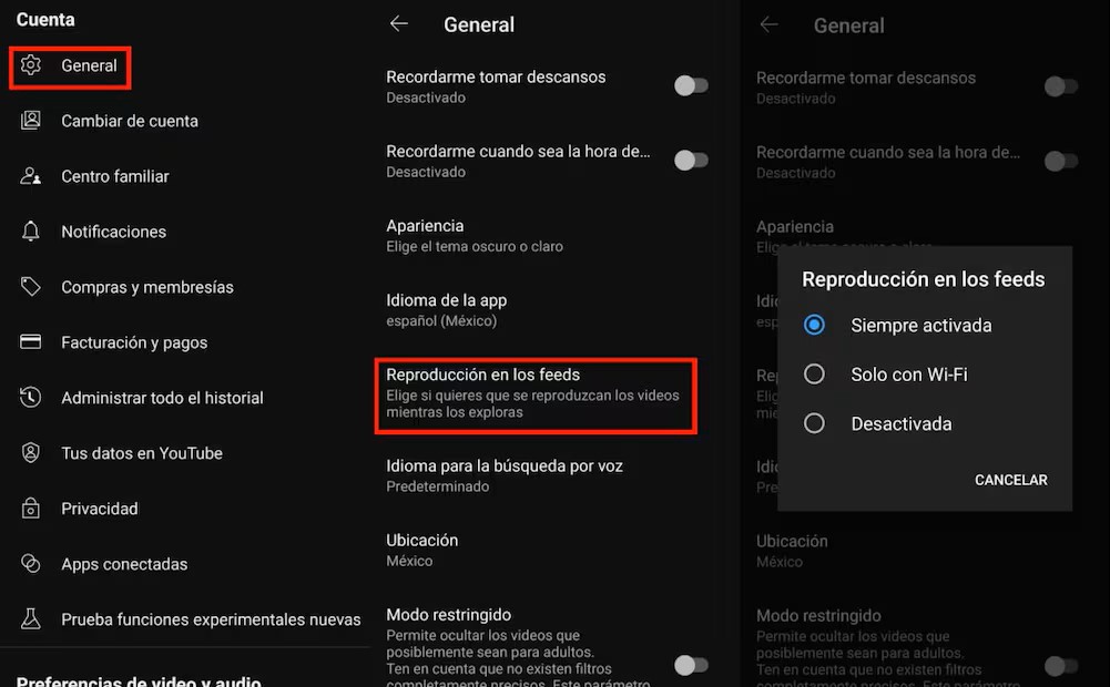 Imagen: captura de pantalla / Tomado de El universal por Paloma Vega