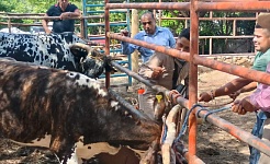 Establecen cerco sanitario en colonia de Yautepec para contener caso de rabia