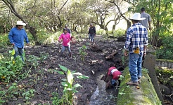 Pescadores de Coatetelco limpian canal que alimenta la laguna