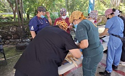 UNAM y gobierno de Amacuzac impulsan Jornadas de Salud Canina y Felina