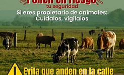 Amacuzac aplicará sanciones por animales sueltos en la vía pública