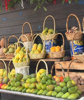 Familia preserva tradición frutícola ante abandono de huertas en Coatlán del Río