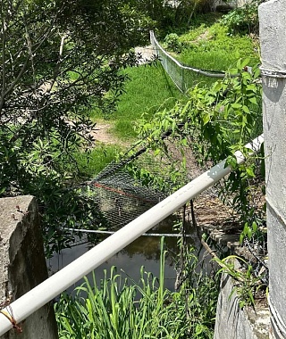 El puente que es utilizado para cruzar el río en la colonia Justo Sierra está dañado.