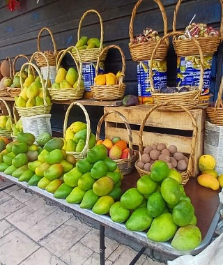 Productores de mango abandonan huertas en Coatlán del Río