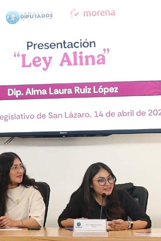 Analizan diputados la “Ley Alina”