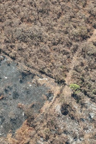 Helicóptero estatal, equipado para combatir incendios forestales