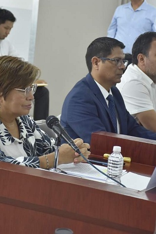 La secretaria de Bienestar, Silvia Salazar, informó a diputados resultados de programas dirigidos a diversos sectores sociales y comunidades.  