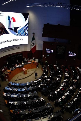 Llega al Senado iniciativa de ley sobre feminicidio