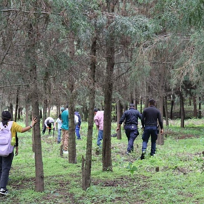 Realizan jornada de reforestación en bosques de Hueyapan