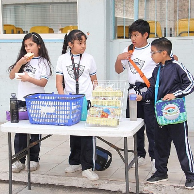 Comida sana, reto en regreso a aulas