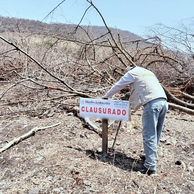 El personal de la Profepa colocó los sellos de clausura luego de que el responsable del terreno no presentó la autorización de cambio de uso de suelo en terrenos forestales.