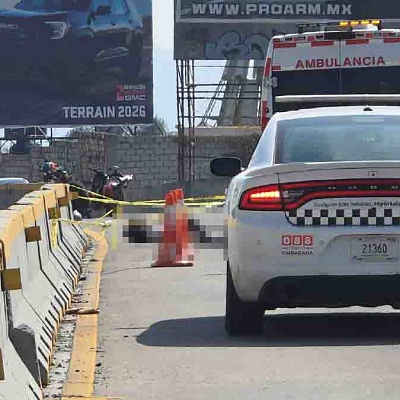 La joven quedó sin vida en el carril de alta velocidad.