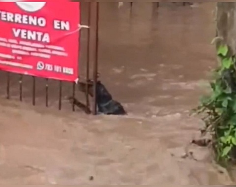 Captura de pantalla