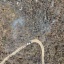 Tras el incendio, ahora deberán revisarse las condiciones de reforestación necesarias para recuperar la flora.   