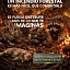 Al alza, incendios forestales