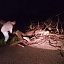 El árbol fue retirado rápidamente por las autoridades.