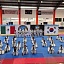 Se consolida Yecapixtla como referente estatal del Taekwondo olímpico