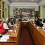 Cuernavaca aprueba reforma en favor de bienestar animal