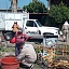Durante tres días, la brigada recorrió diversas colonias para recolectar cacharros.