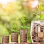 La importancia de economizar 