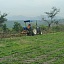 Productores agrícolas resaltaron que las lluvias de este año han sido benéficas para el sector del poniente hasta ahora.