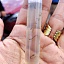 Inicia en Ocuituco mapeo de especies de mosquitos de importancia médica