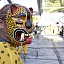 La danza de los tecuanes es una de las expresiones vivas más representativas del sur de Morelos.