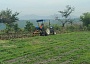 Productores agrícolas resaltaron que las lluvias de este año han sido benéficas para el sector del poniente hasta ahora.