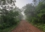 La carrera pasará por paisajes naturales de la región que permitirán apreciar la riqueza natural de la zona sur.