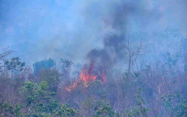 Conafor reporta 205 incendios en todo México