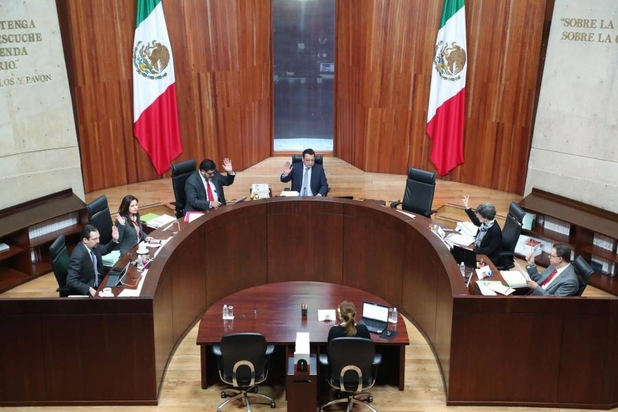 Tribunal Electoral determina que el INE.