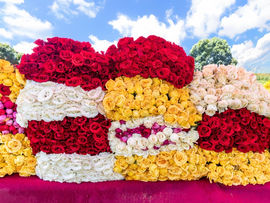 Se consolida Morelos como uno de los principales productores de rosa a nivel nacional: Sedagro