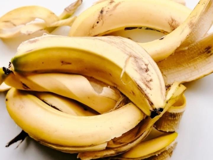 Prepara un fertilizante orgánico para los cultivos con cáscaras de plátano