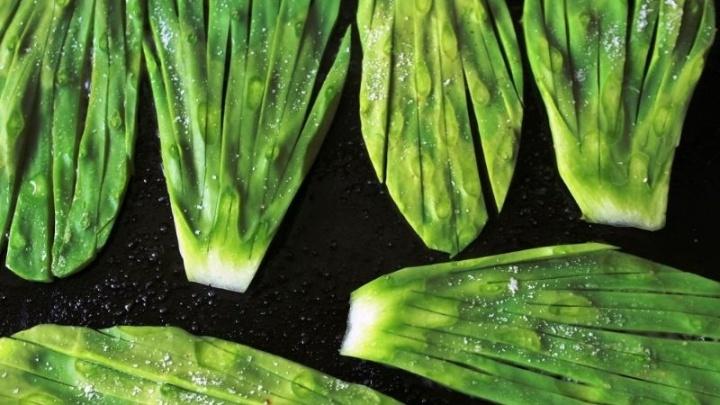 3 recetas con nopales picados para preparar en casa, aprende a sacarle provecho a este alimento