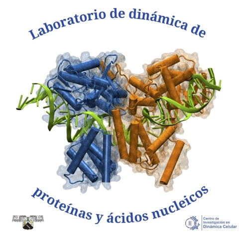 El trabajo más bonito del mundo