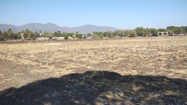  La sequía ha afectado severamente al campo morelense en años recientes.